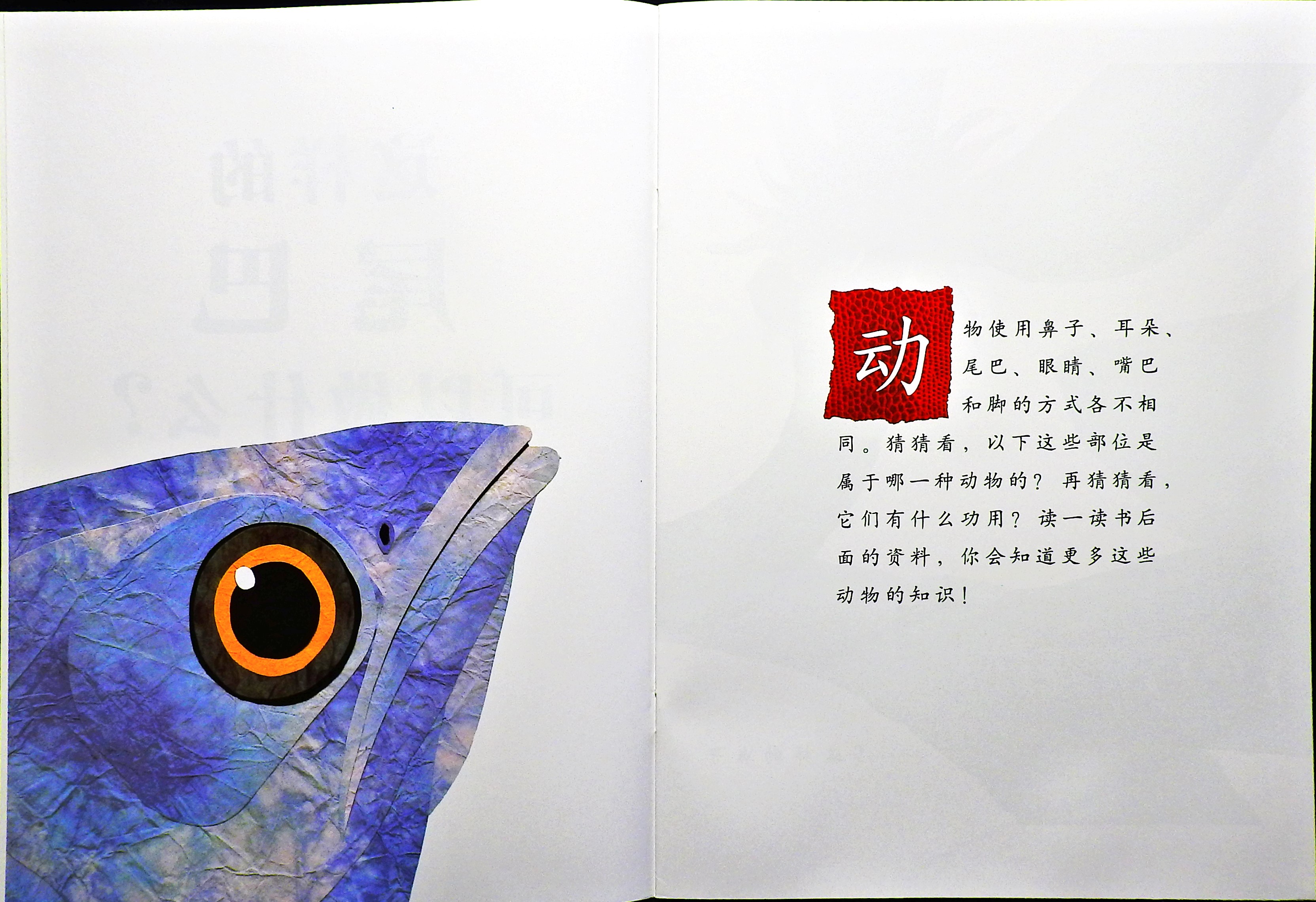 这样的尾巴可以做什么？ (03),绘本,绘本故事,绘本阅读,故事书,童书,图画书,课外阅读